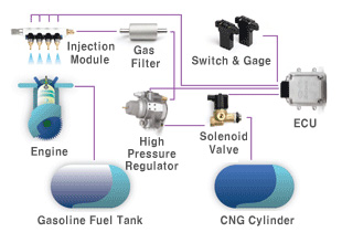 CNG System